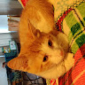 Meet your Posher, Gianna